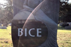 ID-Bice_2019_AMCL
