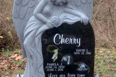 ID-Cherry_2015_PM