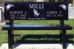 ID-MilliF_2021_AMCI