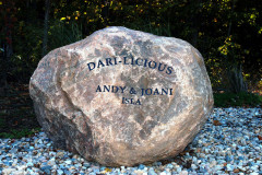 ID-Dari-Licious_2011