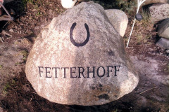 ID-Fetterhoff_2018