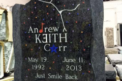 ID-Carr_2014_AMC