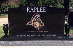 ID-RapleeB_2019_AMCL