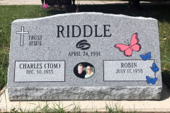 ID-Riddle_2018_AMCI