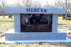 ID-Mercer_2013_AMCL