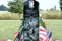 ID-Strong_2008