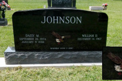 ID-Johnson_2016_MM