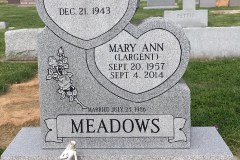 ID-Meadows_2019_AMCC