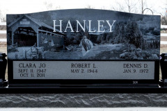 ID-HanleyF_2020_AMCC