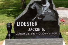 ID-Lidester_2014_AMCC