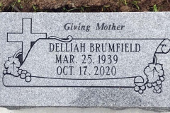 ID-Brumfield_2020_MM