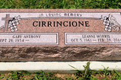 ID-Cirrincione_2014_MM