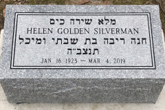 ID-Silverman_2019_AMCL
