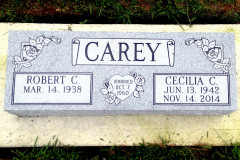 ID-Carey_2014_BBD