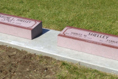 ID-Shelley_2015_AMC