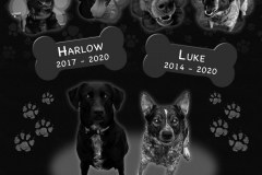 ID-Auxier_2020_AMCL
