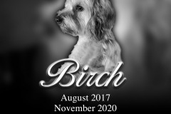 ID-Birch_2020_AMCC