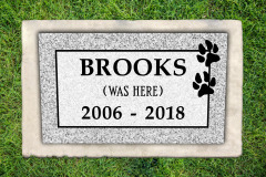 ID-Brooks_2020_AMCL
