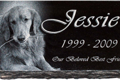 ID-Jessie_2011