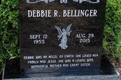 ID-Bellinger_2015_PM