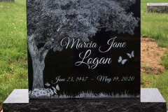ID-Logan_2020_MM