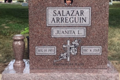 ID-SalazarArreguin_2019_AMCL