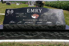ID-Emry_2013_HM
