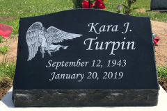 ID-Turpin_2019_AMCC