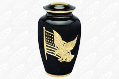 ID-CU_AmericanPride